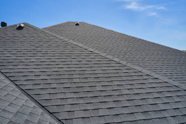 Best Roof Coating and Sealing  in Somonauk, IL