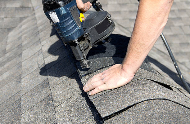 Best Roof Insulation Installation  in Somonauk, IL